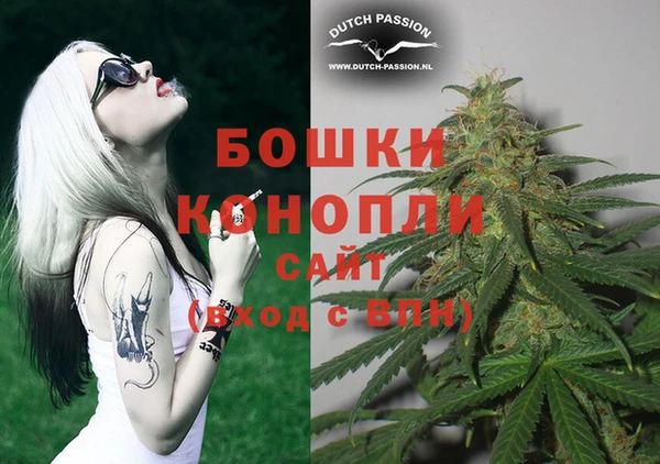 молекула духа Кулебаки
