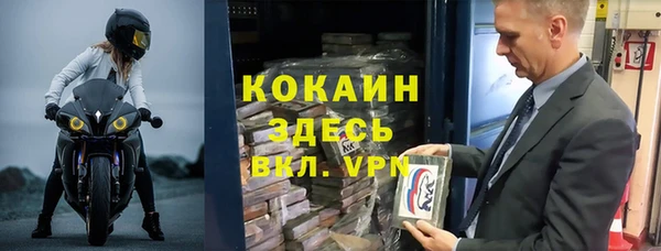 молекула духа Кулебаки