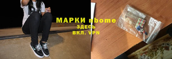 молекула духа Кулебаки