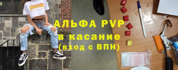молекула духа Кулебаки