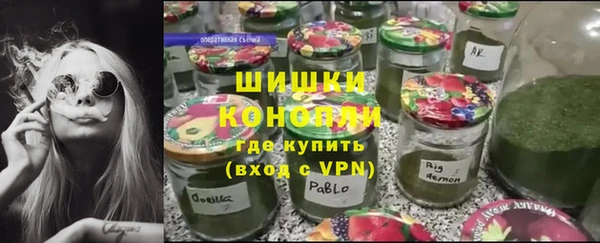 молекула духа Кулебаки